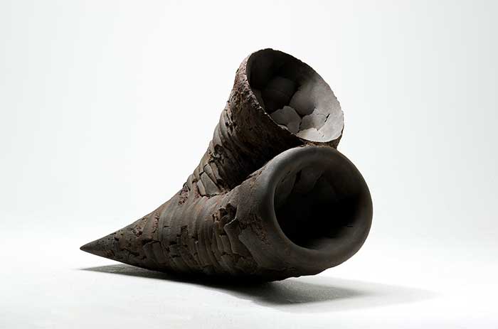 Metavoid 18, 2010