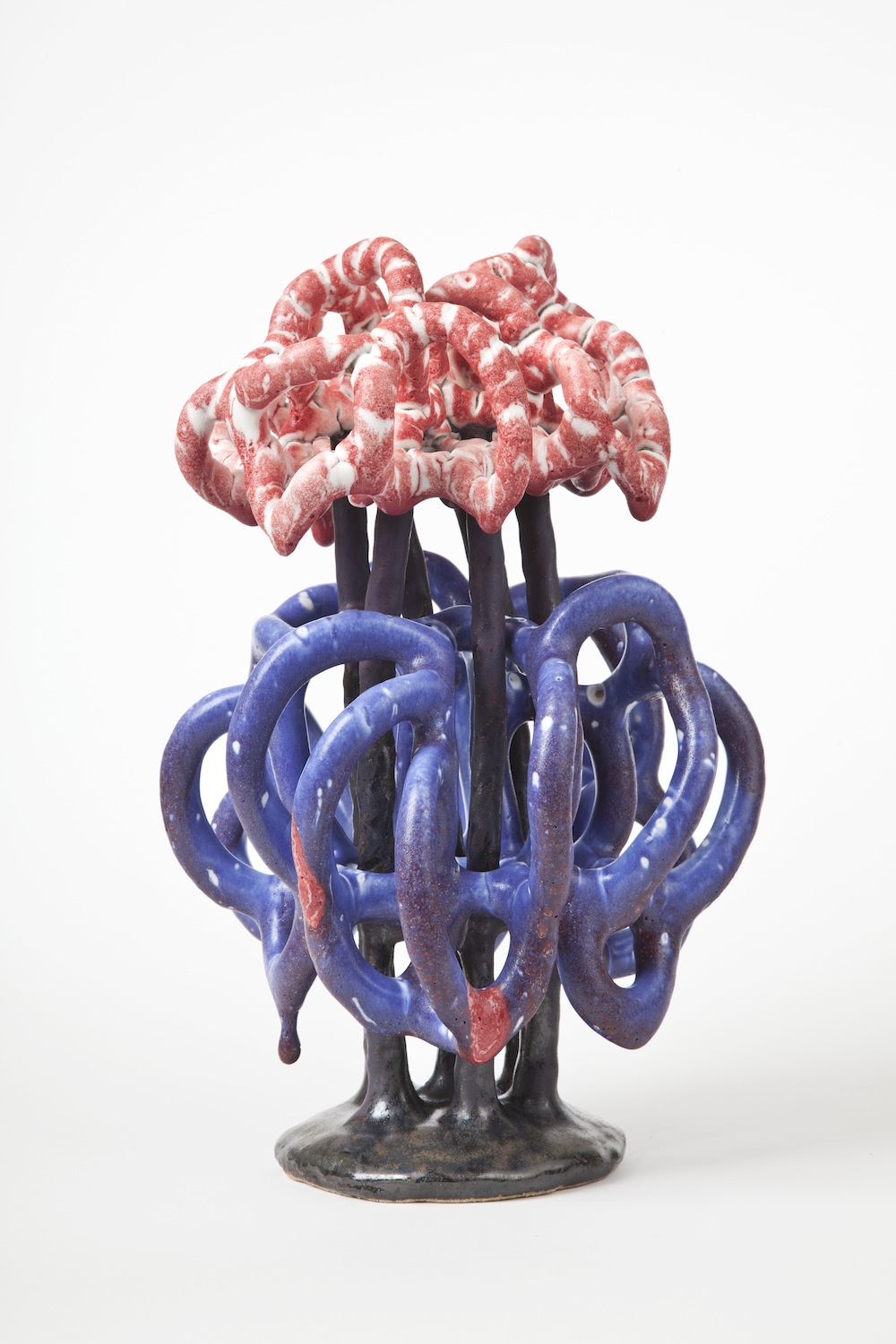Cumulus Congestus, 2014