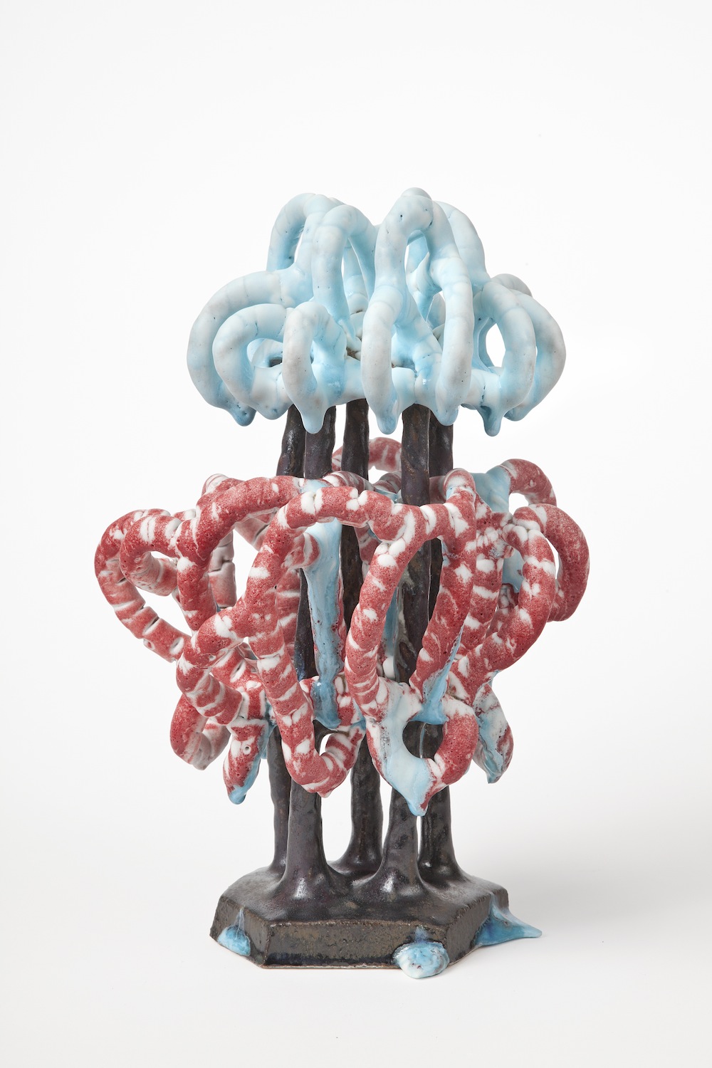 Cumulus Congestus, 2014