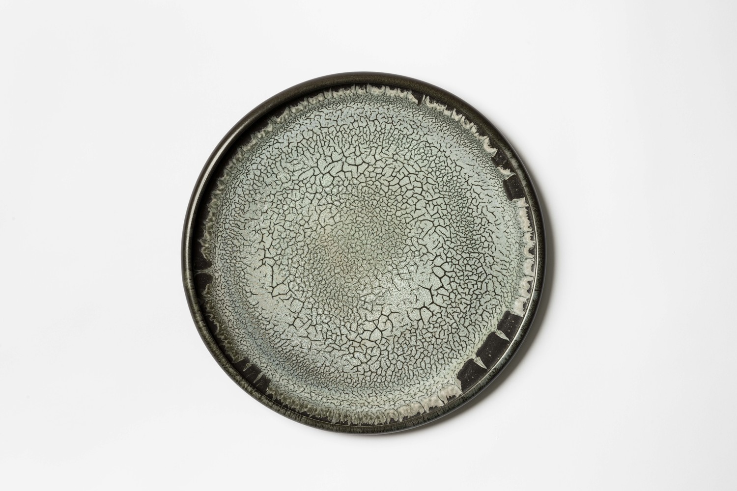 Coupe plate, 2023