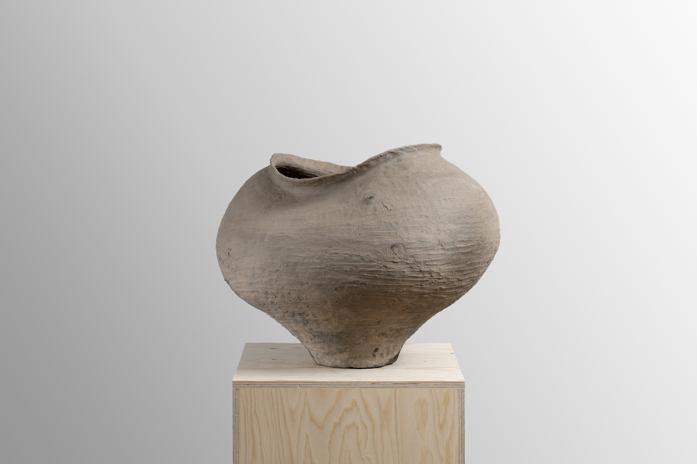 Tsubo, 2019 Tsubo, 2019